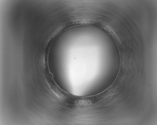 X0000071360251200607071757