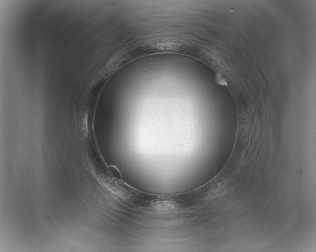 X0000071360262200607071757