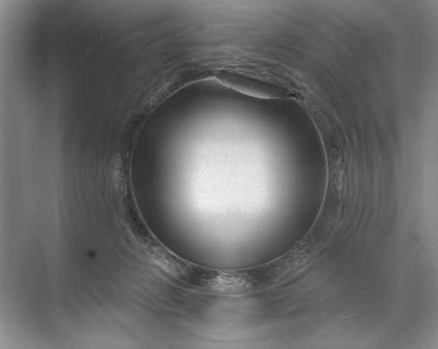 X0000071360270200607071757