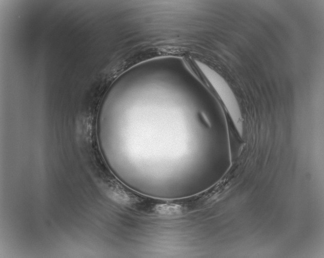 X0000071360271200607071757