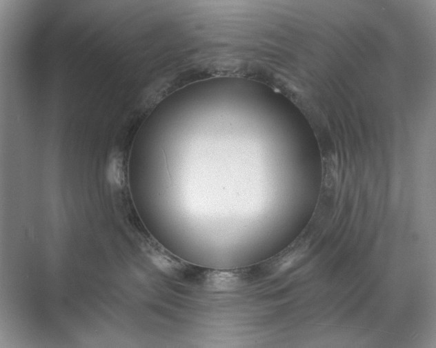 X0000071360287200607071758