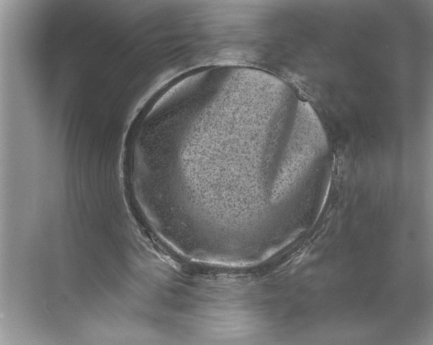 X0000071360292200607071757