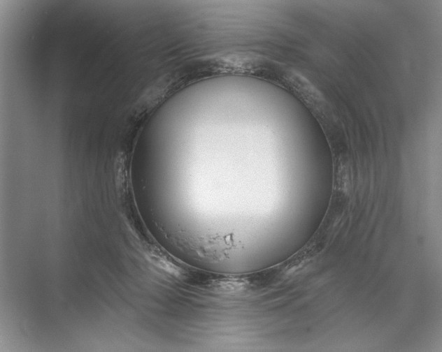 X0000071360318200607071756