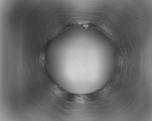 X0000071360321200607071756
