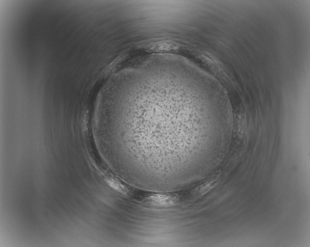 X0000071360326200607071756
