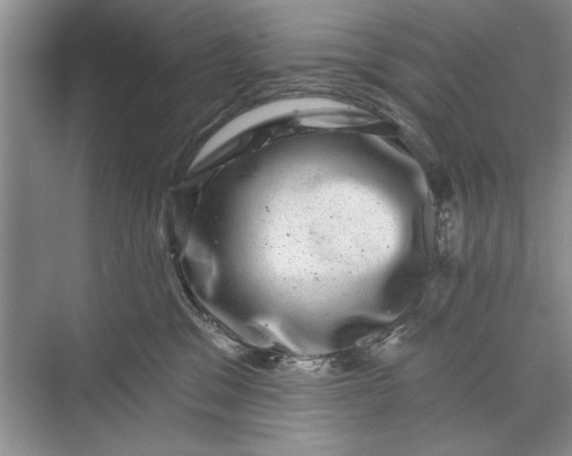 X0000071360329200607071756