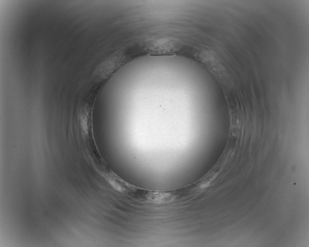 X0000071360334200607071756