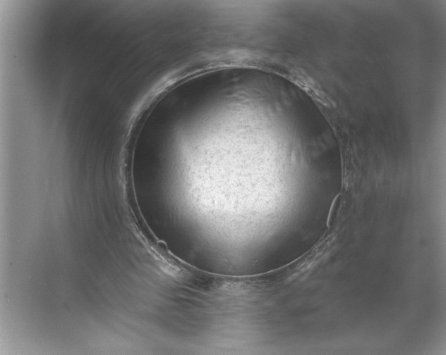 X0000071360341200607071755