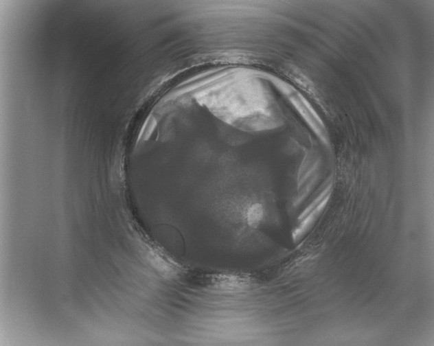 X0000071360347200607071755