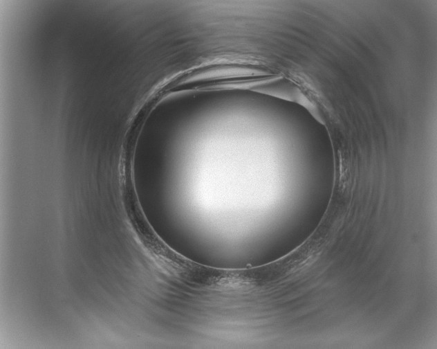 X0000071360348200607071755