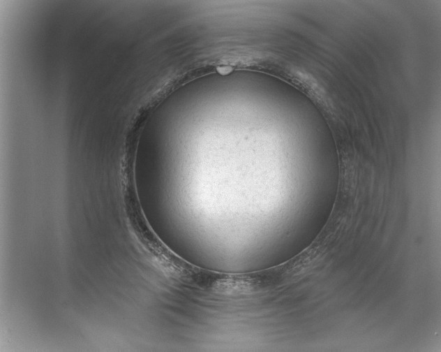 X0000071360354200607071756