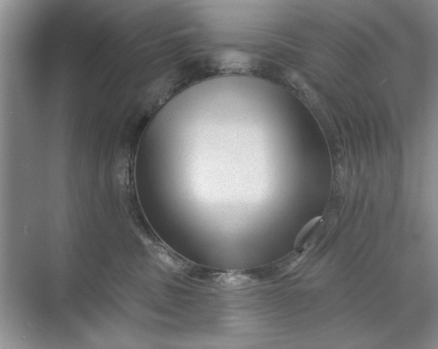 X0000071360379200607071756