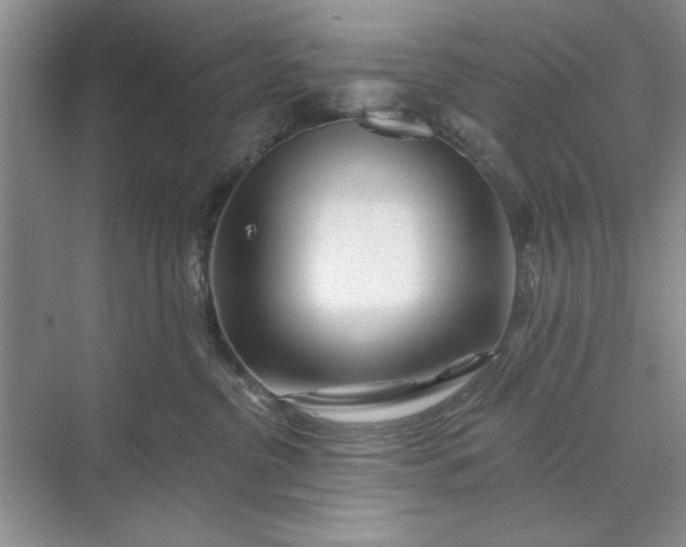 X0000071360380200607071756