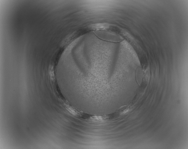 X0000071360381200607071756