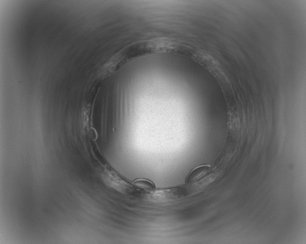 X0000071360382200607071756