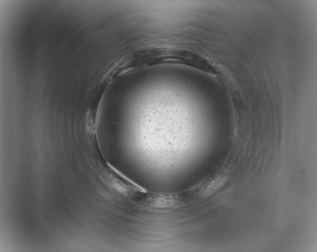 X0000071360384200607071756