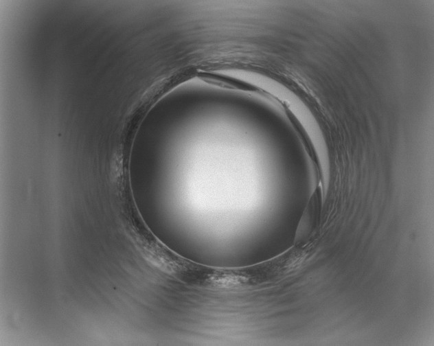 X0000071360407200607071755