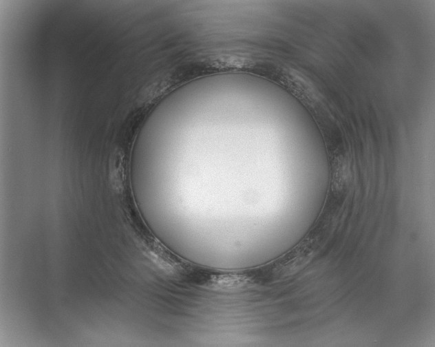 X0000071360414200607071755