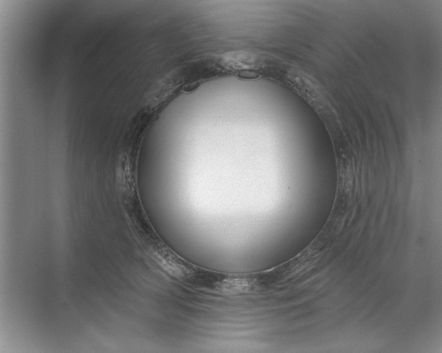 X0000071360418200607071755