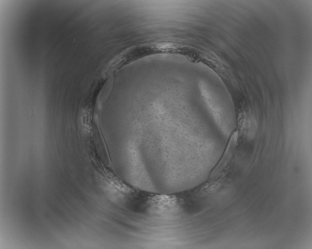X0000071360421200607071755