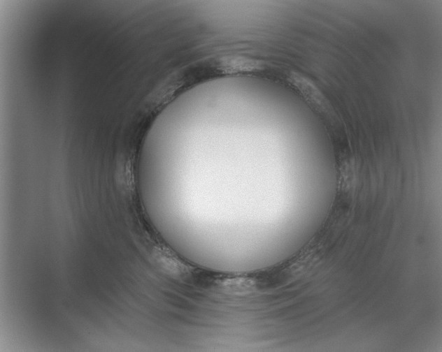 X0000071360426200607071755
