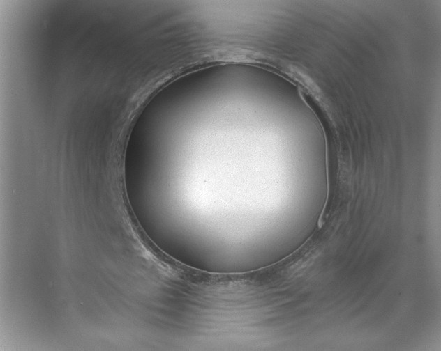 X0000071360433200607071754