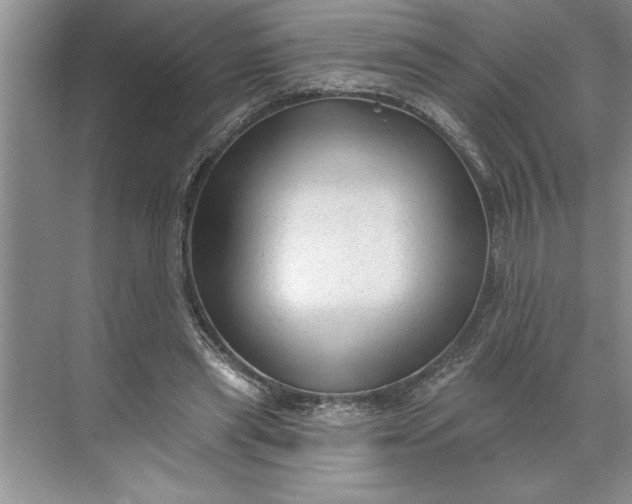 X0000071360445200607071754