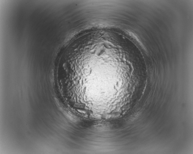 X0000071360447200607071754