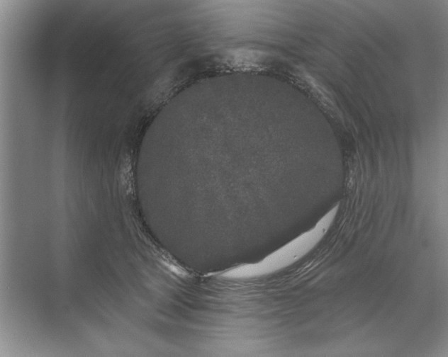 X0000071360465200607071754