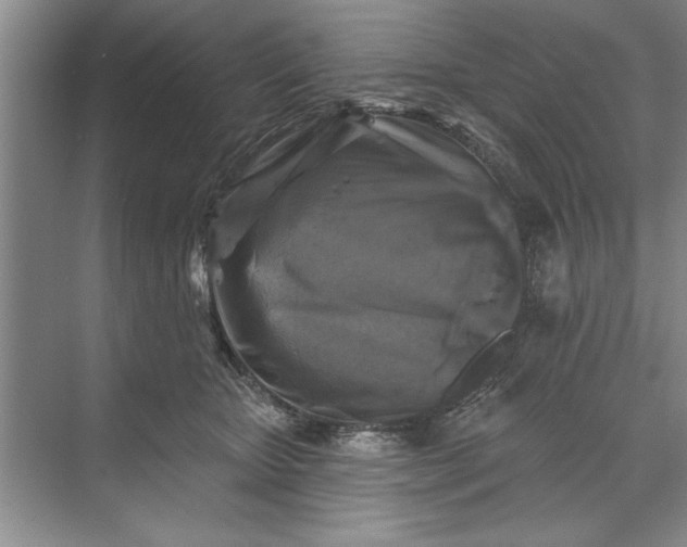 X0000071360467200607071754
