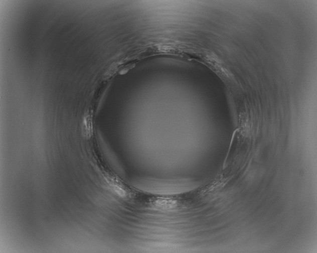 X0000071360471200607071754