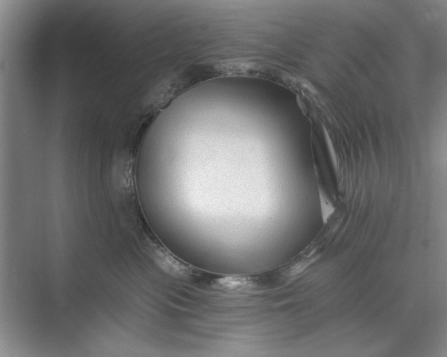 X0000071360477200607071754