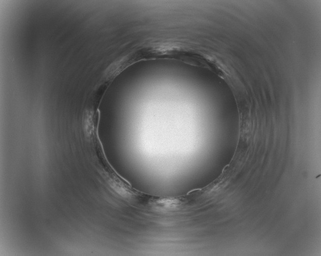 X0000071360478200607071754