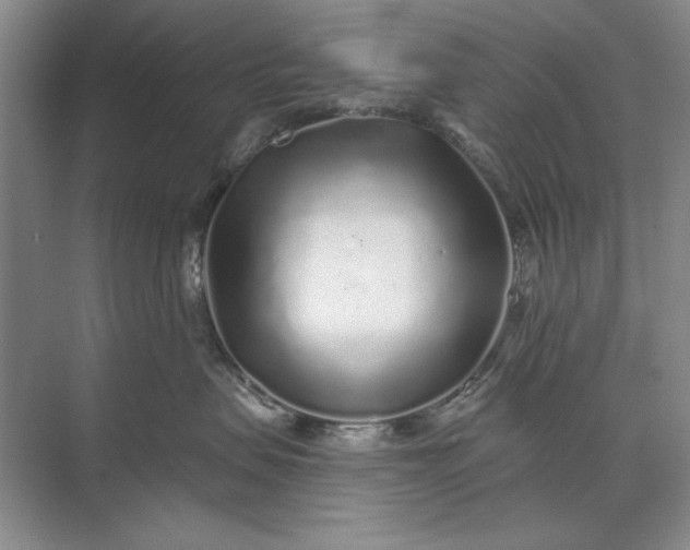 X0000071360479200607071754