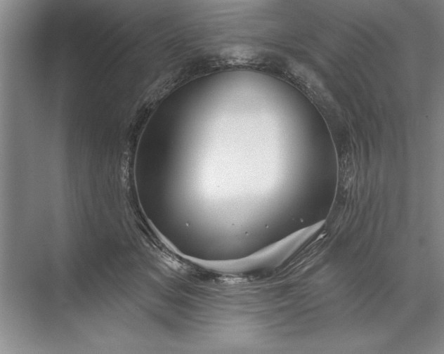 X0000071360509200607071753