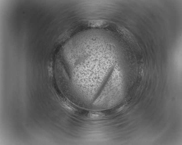 X0000071360510200607071753