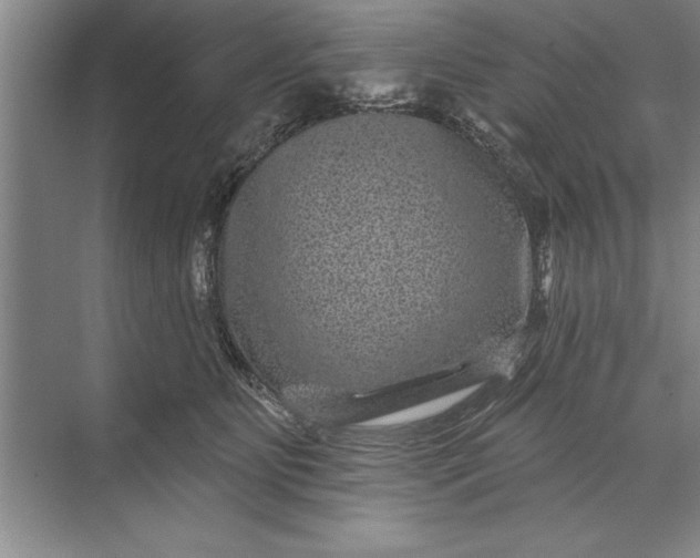 X0000071360515200607071753