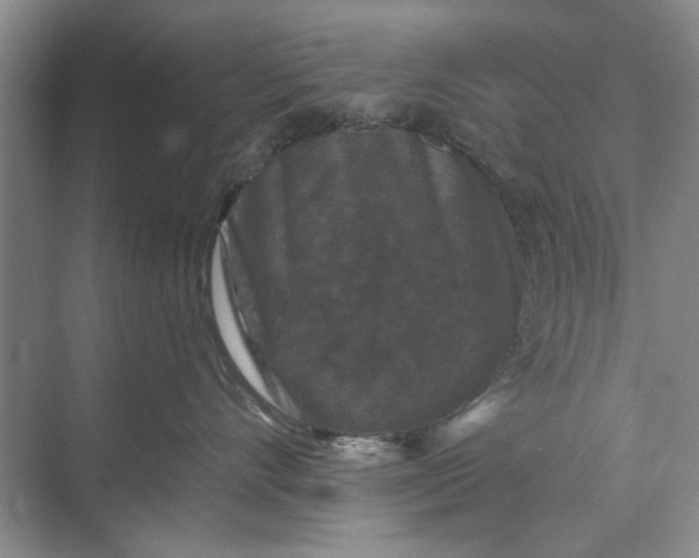 X0000071360528200607071753
