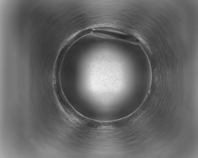 X0000071360536200607071752