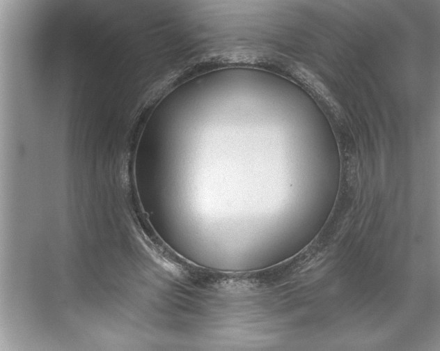 X0000071360537200607071752