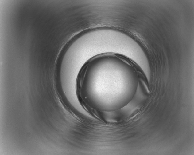 X0000071360540200607071752