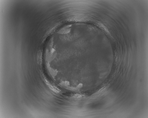 X0000071360542200607071752