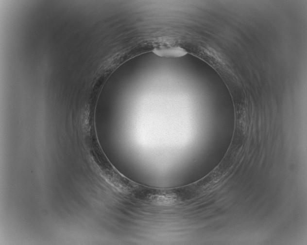 X0000071360548200607071752