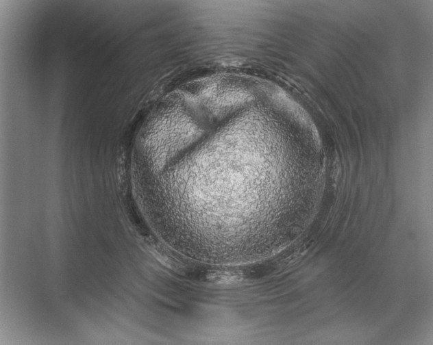 X0000071360559200607071753