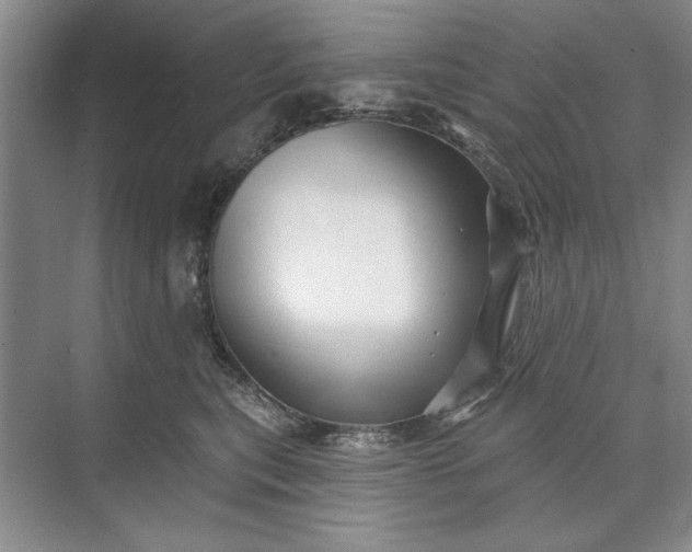 X0000071360567200607071753