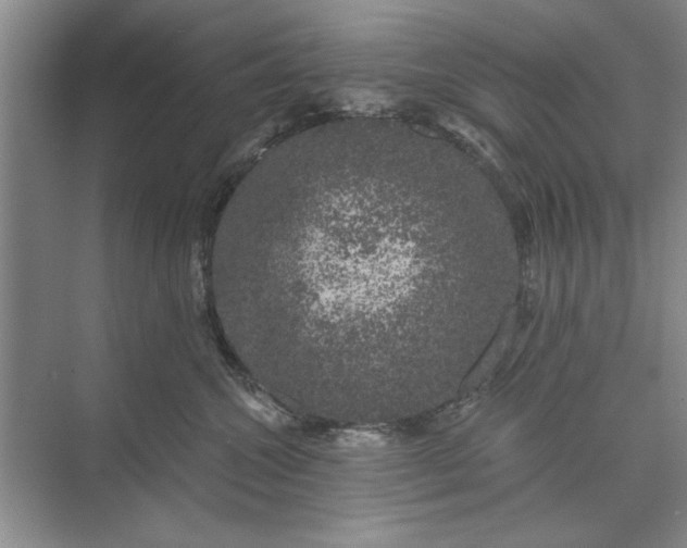 X0000071360572200607071753