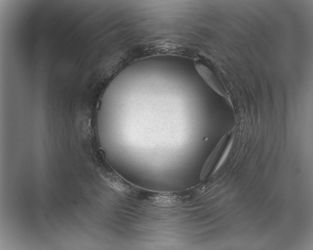 X0000071360615200607071751