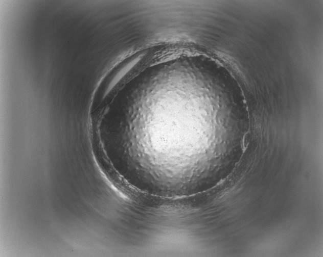 X0000071360630200607071751