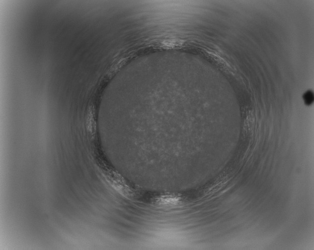 X0000071360651200607071751