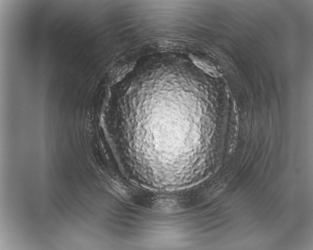X0000071360653200607071751